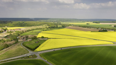 La Cour des Comptes demande des clarifications concernant le fonctionnement des chambres d'agriculture du Nord-Pas-de-Calais et de la région Ile-de-France. La Cour des Comptes demande des clarifications concernant le fonctionnement des chambres d'agriculture du Nord-Pas-de-Calais et de la région Ile-de-France.